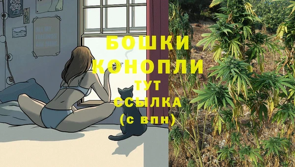 молекула духа Абаза