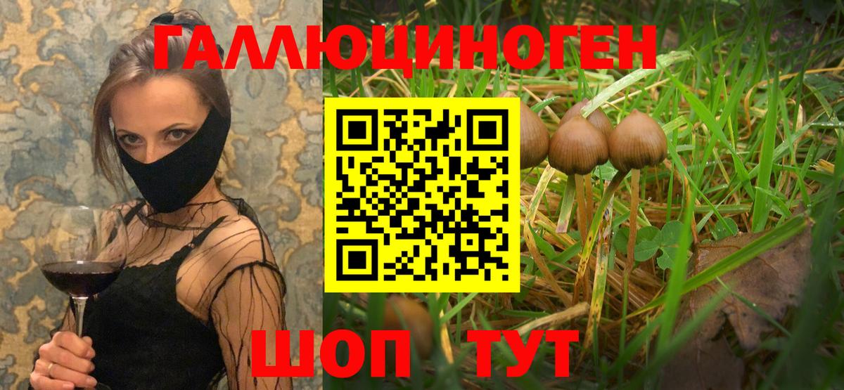 Тихорецк  Галлюциногенные грибы прущие грибы  Галлюциногенные грибы мухоморы  Вход с VPN 
