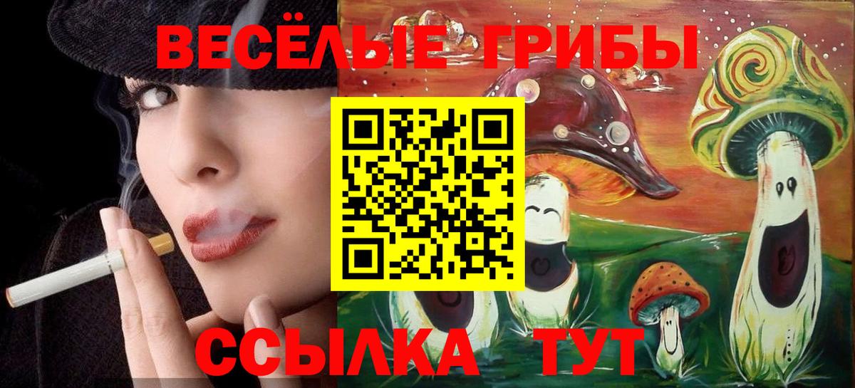Галлюциногенные грибы GOLDEN TEACHER Тихорецк